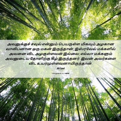 Picture 06 - 1 சாமுவேல் 9:2 TAMIRV - அவனுக்குச் சவுல் - Bible Verse Picture