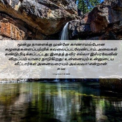 Picture 06 - 1 சாமுவேல் 9:20 TAMIRV - மூன்று நாளைக்கு - Bible Verse Picture