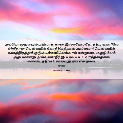 Picture 06 - 1 சாமுவேல் 9:21 TAMIRV - அப்பொழுது சவுல் - Bible Verse Picture