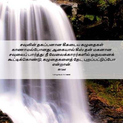 Picture 06 - 1 சாமுவேல் 9:3 TAMIRV - சவுலின் தகப்பனான - Bible Verse Picture