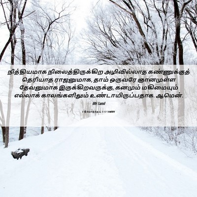 Picture 06 - 1 தீமோத்தேயு 1:17 TAMIRV - நித்தியமாக - Bible Verse Picture