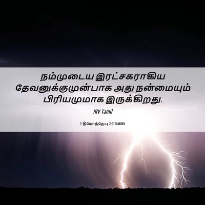 Picture 06 - 1 தீமோத்தேயு 2:3 TAMIRV - நம்முடைய - Bible Verse Picture