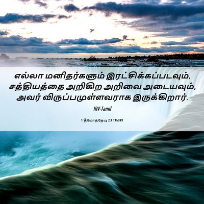 Picture 06 - 1 தீமோத்தேயு 2:4 TAMIRV - எல்லா மனிதர்களும் - Bible Verse Picture