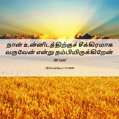 Picture 06 - 1 தீமோத்தேயு 3:14 TAMIRV - நான் - Bible Verse Picture