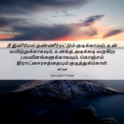 Picture 06 - 1 தீமோத்தேயு 5:23 TAMIRV - நீ இனிமேல் - Bible Verse Picture