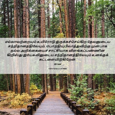 Picture 06 - 1 தீமோத்தேயு 6:14 TAMIRV - எல்லாவற்றையும் - Bible Verse Picture