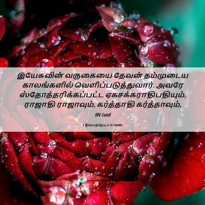 Picture 06 - 1 தீமோத்தேயு 6:15 TAMIRV - இயேசுவின் வருகையை - Bible Verse Picture