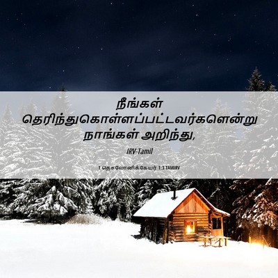 Picture 06 - 1 தெசலோனிக்கேயர் 1:3 TAMIRV - நீங்கள் - Bible Verse Picture