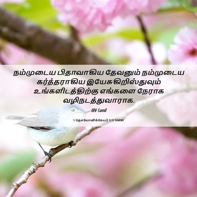 Picture 06 - 1 தெசலோனிக்கேயர் 3:11 TAMIRV - நம்முடைய - Bible Verse Picture