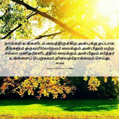 Picture 06 - 1 தெசலோனிக்கேயர் 3:12 TAMIRV - நாங்கள் உங்களிடம் - Bible Verse Picture