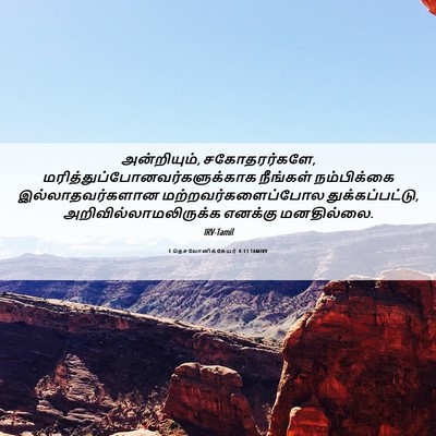 Picture 06 - 1 தெசலோனிக்கேயர் 4:13 TAMIRV - அன்றியும், - Bible Verse Picture