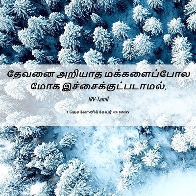 Picture 06 - 1 தெசலோனிக்கேயர் 4:4 TAMIRV - தேவனை அறியாத - Bible Verse Picture