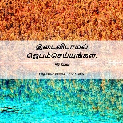 Picture 06 - 1 தெசலோனிக்கேயர் 5:17 TAMIRV - இடைவிடாமல் - Bible Verse Picture