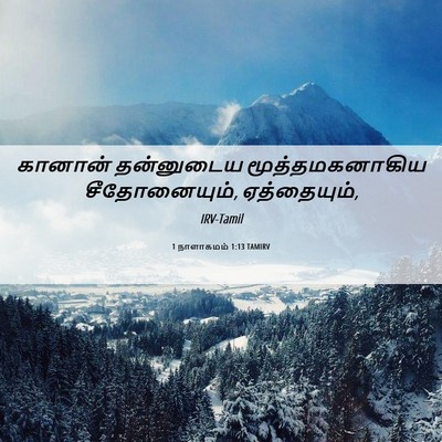 Picture 06 - 1 நாளாகமம் 1:13 TAMIRV - கானான் தன்னுடைய - Bible Verse Picture