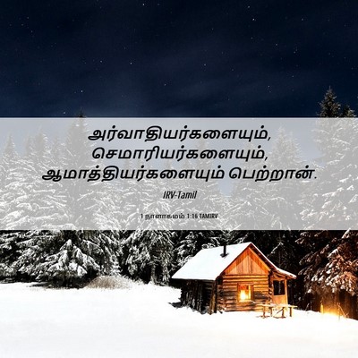 Picture 06 - 1 நாளாகமம் 1:16 TAMIRV -  - Bible Verse Picture