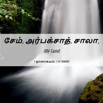 Picture 06 - 1 நாளாகமம் 1:24 TAMIRV - சேம், அர்பக்சாத், - Bible Verse Picture