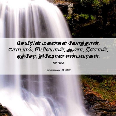 Picture 06 - 1 நாளாகமம் 1:38 TAMIRV - சேயீரின் மகன்கள் - Bible Verse Picture