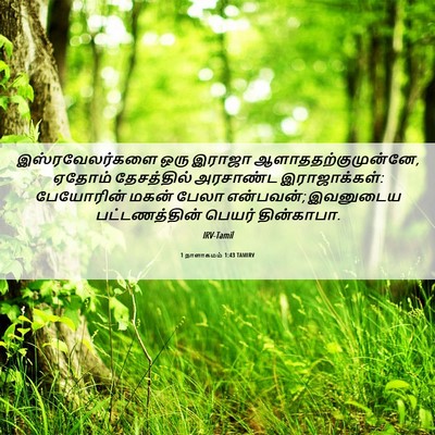 Picture 06 - 1 நாளாகமம் 1:43 TAMIRV - இஸ்ரவேலர்களை ஒரு - Bible Verse Picture
