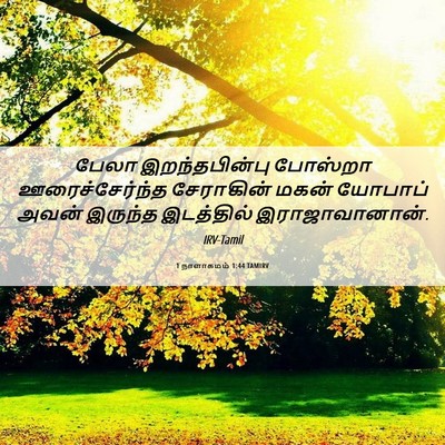 Picture 06 - 1 நாளாகமம் 1:44 TAMIRV - பேலா இறந்தபின்பு - Bible Verse Picture