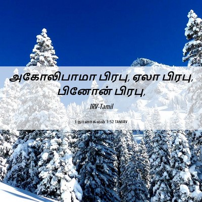 Picture 06 - 1 நாளாகமம் 1:52 TAMIRV - அகோலிபாமா பிரபு, - Bible Verse Picture