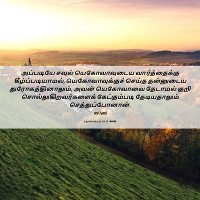 Picture 06 - 1 நாளாகமம் 10:13 TAMIRV - அப்படியே சவுல் - Bible Verse Picture
