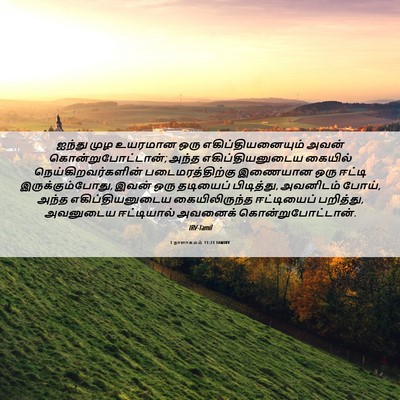 Picture 06 - 1 நாளாகமம் 11:23 TAMIRV - ஐந்து முழ உயரமான - Bible Verse Picture