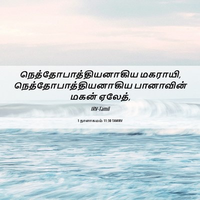 Picture 06 - 1 நாளாகமம் 11:30 TAMIRV -  - Bible Verse Picture