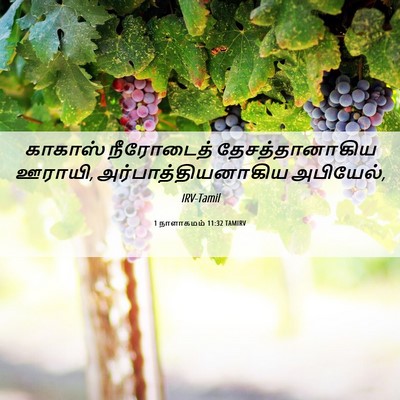 Picture 06 - 1 நாளாகமம் 11:32 TAMIRV - காகாஸ் நீரோடைத் - Bible Verse Picture