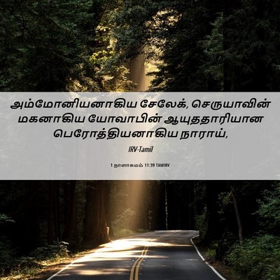 Picture 06 - 1 நாளாகமம் 11:39 TAMIRV - அம்மோனியனாகிய - Bible Verse Picture