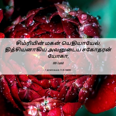 Picture 06 - 1 நாளாகமம் 11:45 TAMIRV - சிம்ரியின் மகன் - Bible Verse Picture