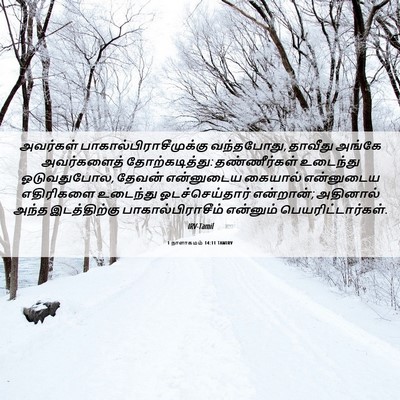 Picture 06 - 1 நாளாகமம் 14:11 TAMIRV - அவர்கள் - Bible Verse Picture