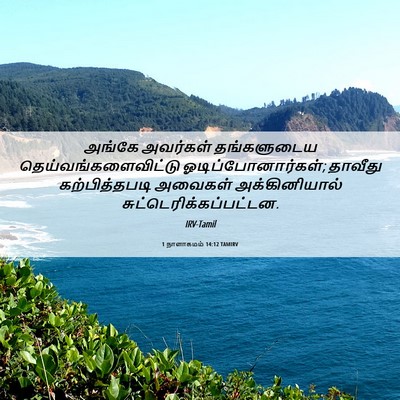 Picture 06 - 1 நாளாகமம் 14:12 TAMIRV - அங்கே அவர்கள் - Bible Verse Picture