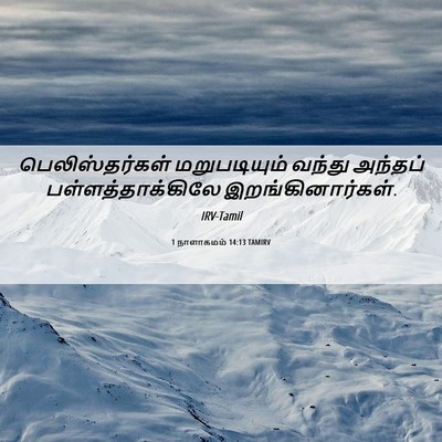 Picture 06 - 1 நாளாகமம் 14:13 TAMIRV - பெலிஸ்தர்கள் - Bible Verse Picture