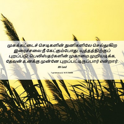 Picture 06 - 1 நாளாகமம் 14:15 TAMIRV - முசுக்கட்டைச் - Bible Verse Picture