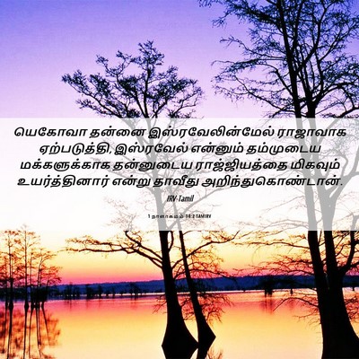 Picture 06 - 1 நாளாகமம் 14:2 TAMIRV - யெகோவா தன்னை - Bible Verse Picture