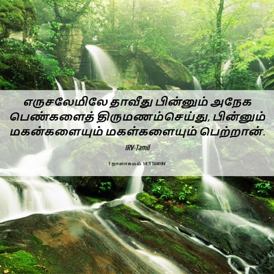 Picture 06 - 1 நாளாகமம் 14:3 TAMIRV - எருசலேமிலே தாவீது - Bible Verse Picture