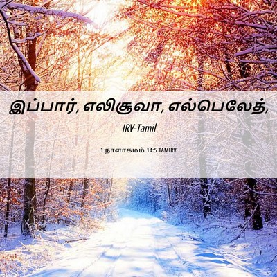 Picture 06 - 1 நாளாகமம் 14:5 TAMIRV - இப்பார், எலிசூவா, - Bible Verse Picture