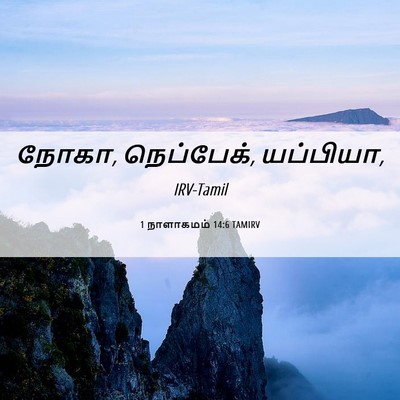 Picture 06 - 1 நாளாகமம் 14:6 TAMIRV - நோகா, நெப்பேக், - Bible Verse Picture