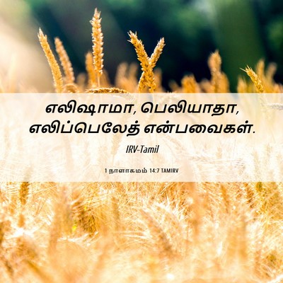 Picture 06 - 1 நாளாகமம் 14:7 TAMIRV - எலிஷாமா, பெலியாதா, - Bible Verse Picture