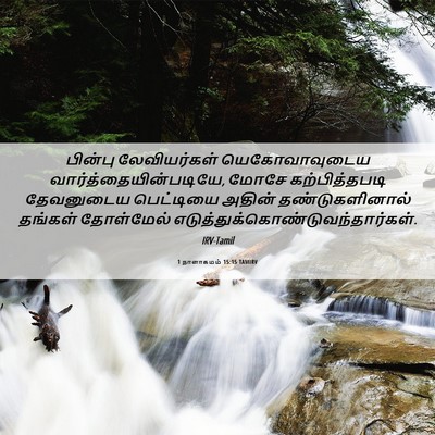 Picture 06 - 1 நாளாகமம் 15:15 TAMIRV - பின்பு லேவியர்கள் - Bible Verse Picture