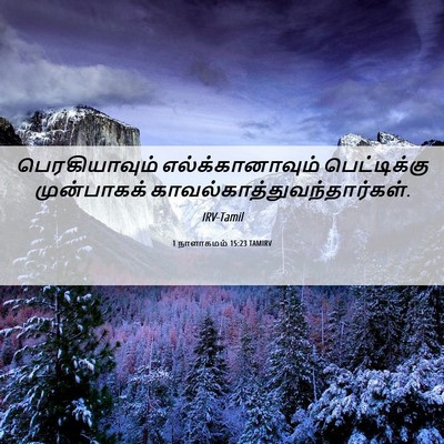 Picture 06 - 1 நாளாகமம் 15:23 TAMIRV - பெரகியாவும் - Bible Verse Picture
