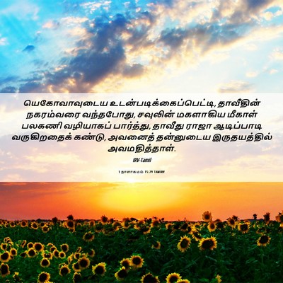 Picture 06 - 1 நாளாகமம் 15:29 TAMIRV - யெகோவாவுடைய - Bible Verse Picture