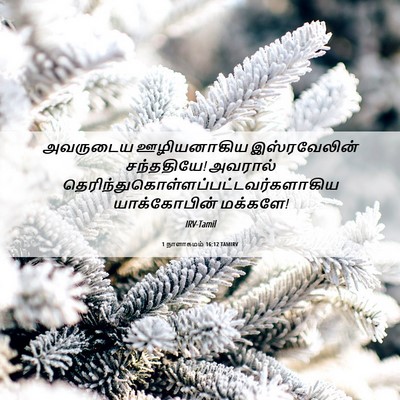 Picture 06 - 1 நாளாகமம் 16:12 TAMIRV - அவருடைய ஊழியனாகிய - Bible Verse Picture