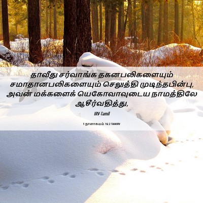 Picture 06 - 1 நாளாகமம் 16:2 TAMIRV - தாவீது சர்வாங்க - Bible Verse Picture