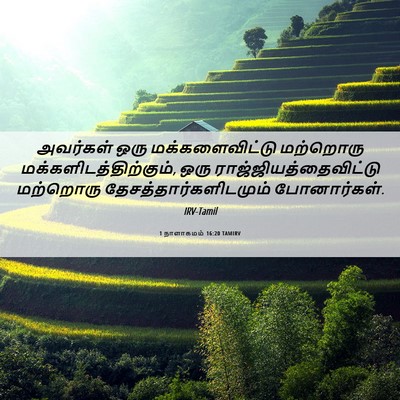 Picture 06 - 1 நாளாகமம் 16:20 TAMIRV - அவர்கள் ஒரு - Bible Verse Picture