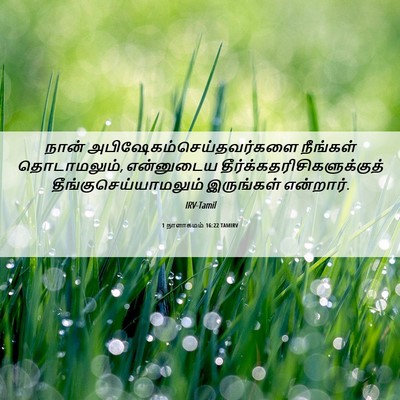 Picture 06 - 1 நாளாகமம் 16:22 TAMIRV - நான் - Bible Verse Picture