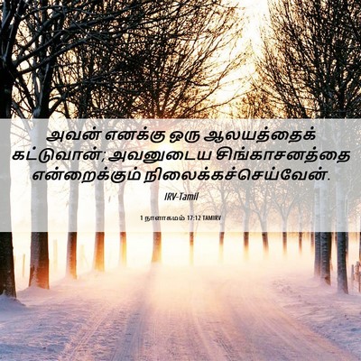 Picture 06 - 1 நாளாகமம் 17:12 TAMIRV - அவன் எனக்கு ஒரு - Bible Verse Picture