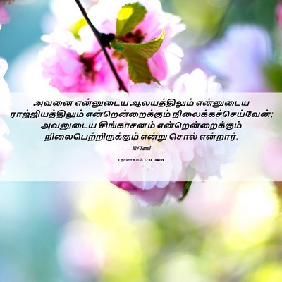 Picture 06 - 1 நாளாகமம் 17:14 TAMIRV - அவனை என்னுடைய - Bible Verse Picture