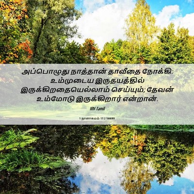 Picture 06 - 1 நாளாகமம் 17:2 TAMIRV - அப்பொழுது - Bible Verse Picture