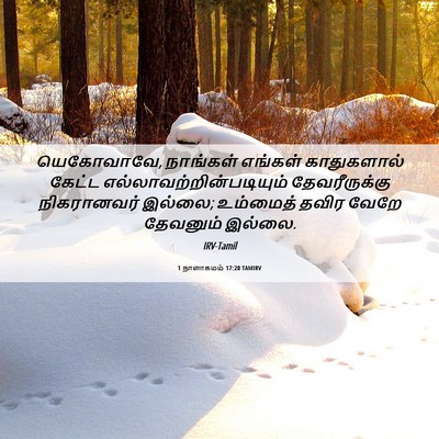 Picture 06 - 1 நாளாகமம் 17:20 TAMIRV - யெகோவாவே, நாங்கள் - Bible Verse Picture